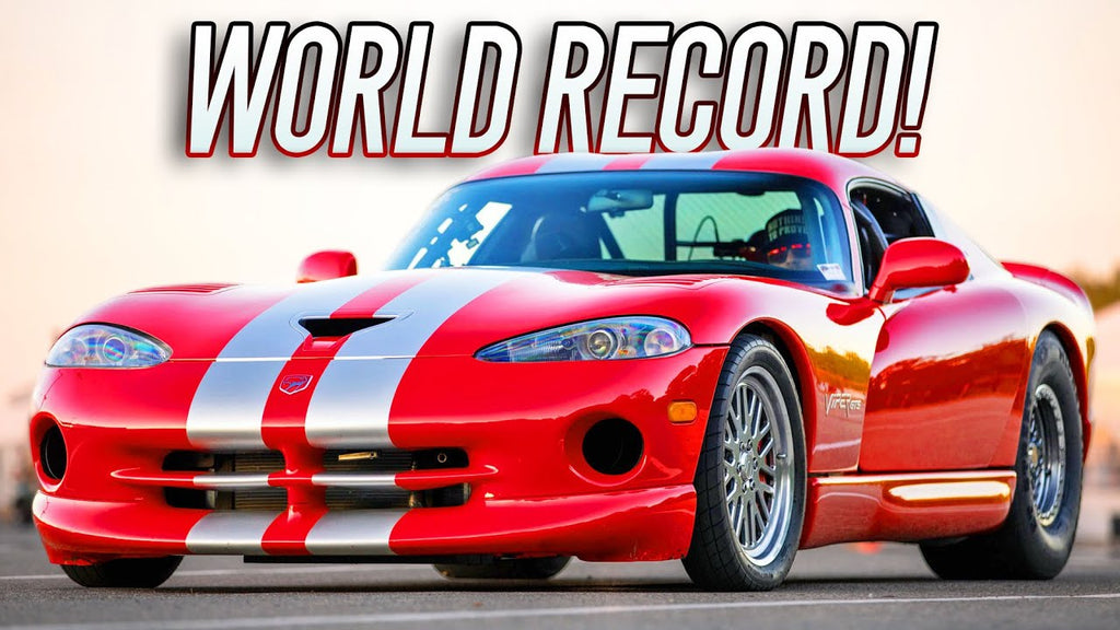 World’s QUICKEST Viper! | 9 year old record BROKEN!